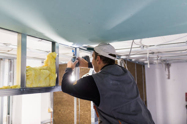 Best Cellulose Insulation in Caldwell, ID